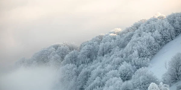 Maravilhosa Paisagem Montanha Inverno Árvores Cobertas Neve Amanhecer Grande Geada — Fotografia de Stock