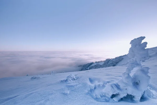 Maravilhosa Paisagem Montanha Inverno Amanhecer Topo Montanha Acima Das Nuvens — Fotografia de Stock