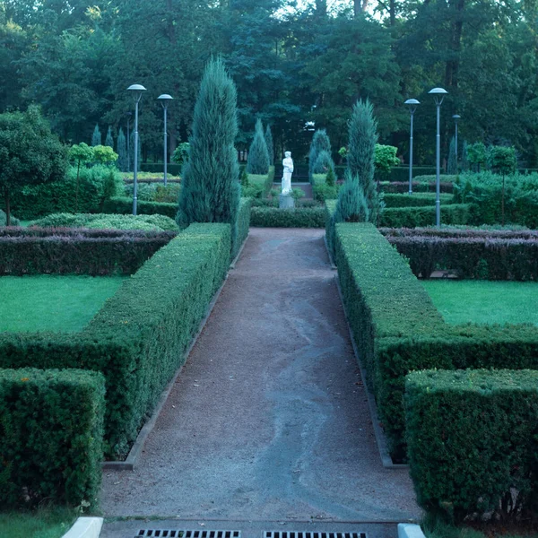 Jardín Estilo Francés Ciudad Bucha Central Park — Foto de Stock