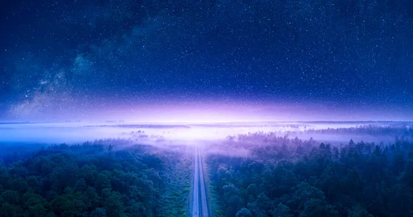 Maravilloso Paisaje Nocturno Verano Cielo Estrellado Bosque Pinos Por Que — Foto de Stock