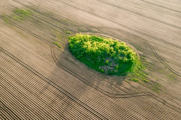 Campo Vazio Não Semeado Relvado Verde Meio Uma Vista Drone — Fotografia de Stock