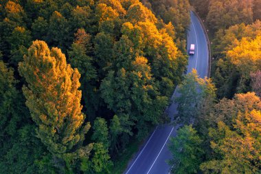 Güzel bir sonbahar ormanı ve gün batımında asfalt bir yol. Sarı yeşil ve kırmızı ağaç yaprakları ve boş bir yolu olan harika bir sonbahar manzarası. Rezervasyon boyunca yol.