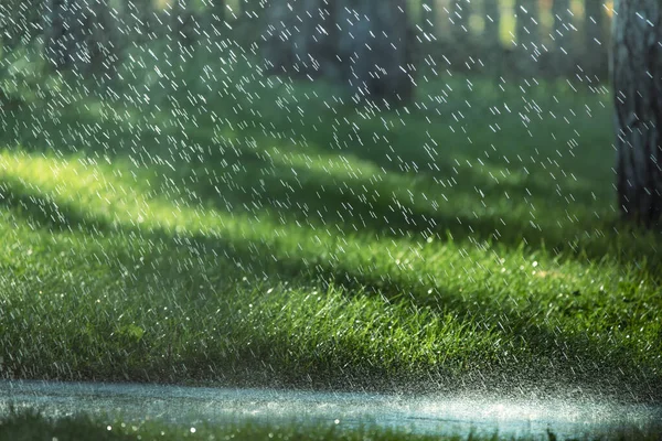 Caen Gotas Lluvia Sobre Asfalto Parque Canción Asfalto Húmedo — Foto de Stock