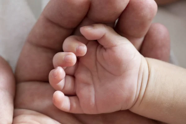 Маленькая Рука Новорожденного Большой Руке Взрослого — стоковое фото