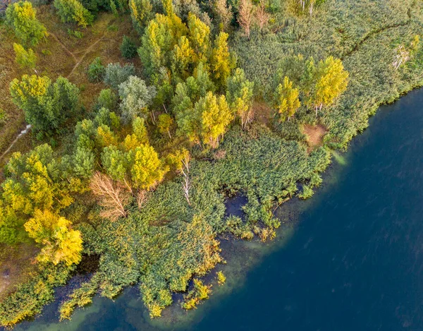 湖心的一个小岛上 黄秋的树叶在树上 无人机视图 — 图库照片