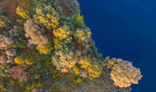 Ένα Μικρό Νησί Στη Μέση Της Λίμνης Κίτρινα Φθινοπωρινά Φύλλα — Φωτογραφία Αρχείου
