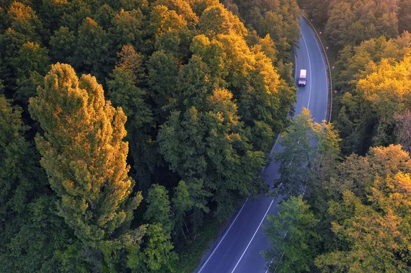 Vedere Aeriană Unei Frumoase Păduri Toamnă Unui Drum Asfalt Apusul — Fotografie, imagine de stoc