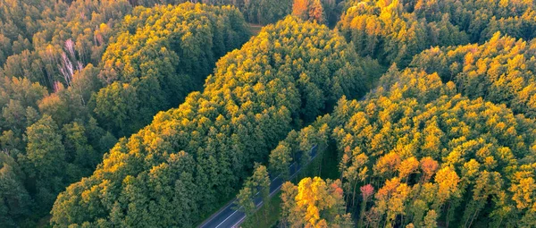 Jesienny las liściasty, widok z lotu ptaka, wzór lub tekstura. — Zdjęcie stockowe