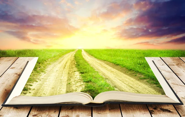 Open book on green field. Open book in green grass over blue sky.