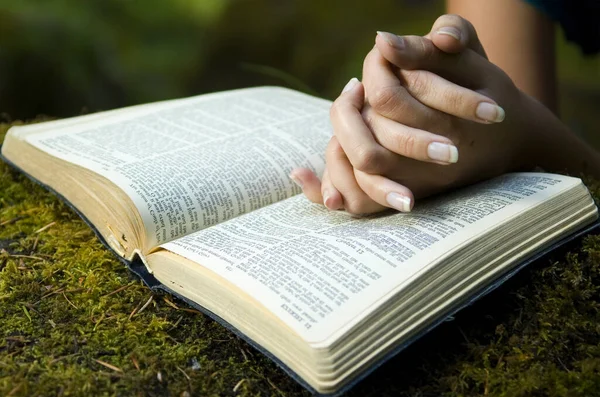 Manos Una Mujer Orando Leyendo Sobre Una Biblia Libro Jardín — Foto de Stock