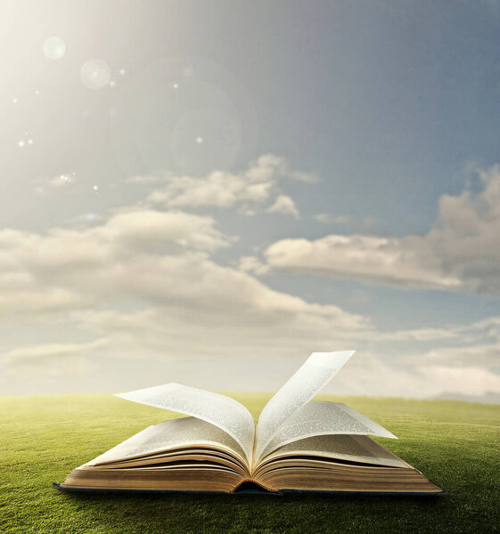 Education and wisdom concept. Open book under sky on green grass