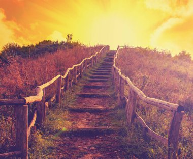 Ormandaki yamaçtan gün batımına doğru çıkan merdivenler. Merdivenler yukarı çıkıyor. Güneş ışığı da tepemizde.