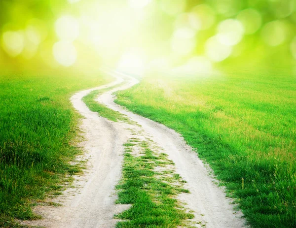 Yolun ortasından yürü - tarlada yol