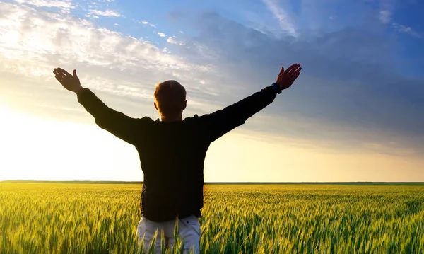 Man with arms raised in field. Young man at sunset raises his hands up