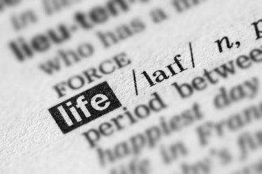 Hayat tanımı Word metni