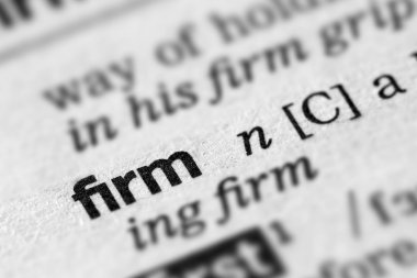 Firma tanımı Word metni