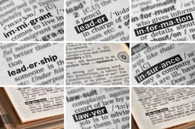 Siyaset kelime kümesi