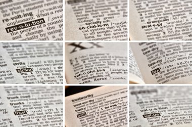 Siyaset kelime kümesi