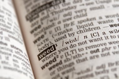 Ot Word tanım metni