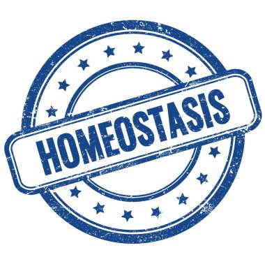 HOMEOSTASIS 'in mavi antika grungy yuvarlak kauçuk damgalı metni.