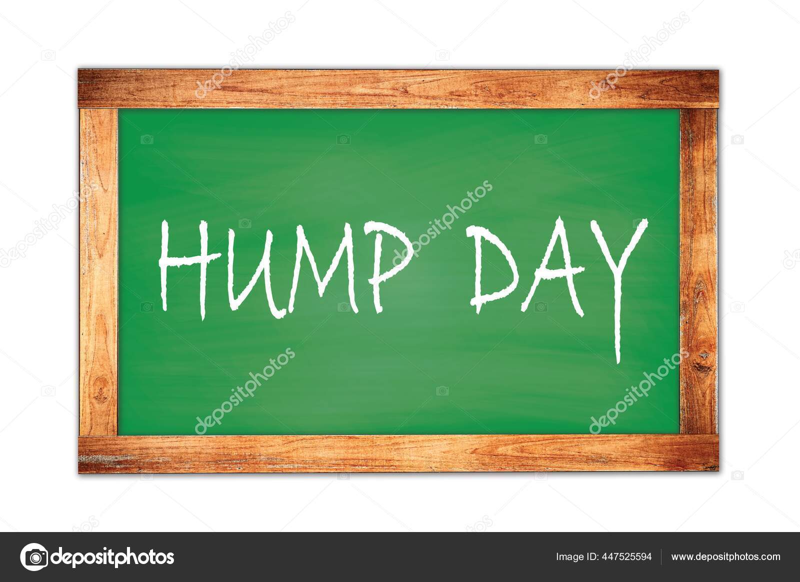 hump day wallpaper