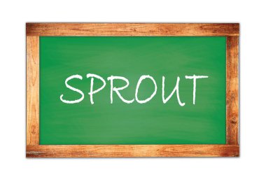 Yeşil ahşap çerçeve okul tahtasına yazılmış SPROut metni.