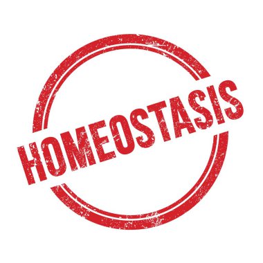 Kırmızı grungy vintage yuvarlak pul üzerine yazılmış HOMEOSTASIS metni.