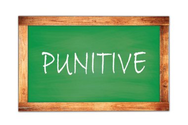 Yeşil ahşap çerçeve okul tahtasına yazılmış PUNITIVE metin.