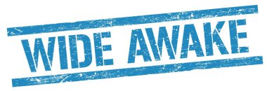Mavi grungy dikdörtgen damga işareti üzerinde WIDE Awake metin.