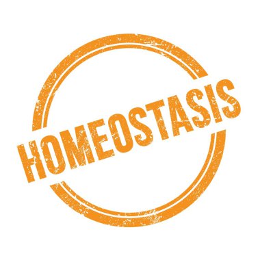 Turuncu grungy vintage yuvarlak pulla yazılmış HOMEOSTASIS metni.