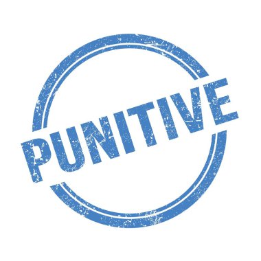 Mavi grungy vintage yuvarlak pul üzerine yazılmış PUNITIVE metin.