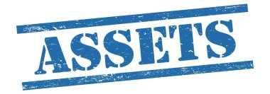 Mavi grungy vintage kauçuk damgalı ASSETS metni.