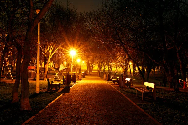 Bukarest Park éjjel — Stock Fotó