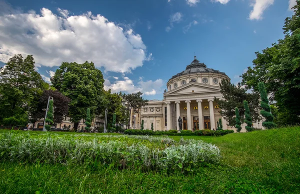 Bucharest -- Athenaeum — Stock Photo, Image