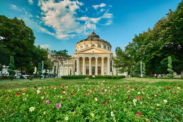 Bucharest Athenaeum — Stock Photo, Image