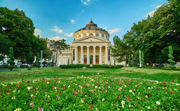 Ateneo di Bucarest — Foto Stock