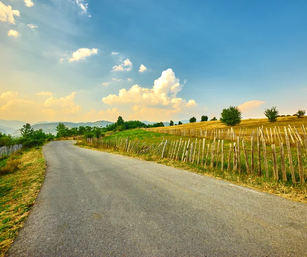 Country Road Landscape — Stock Photo, Image