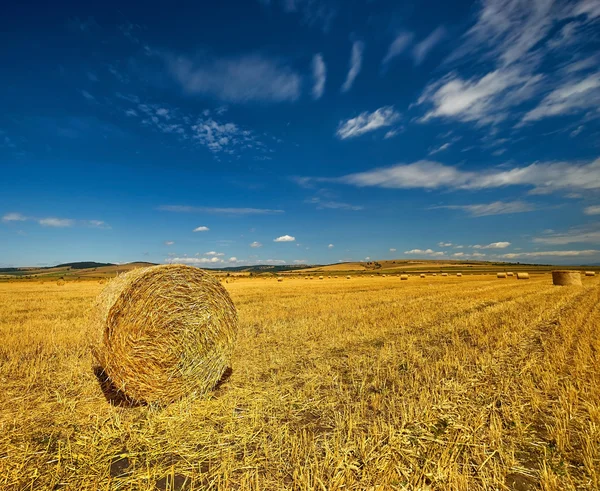 Straw Bale in Summer