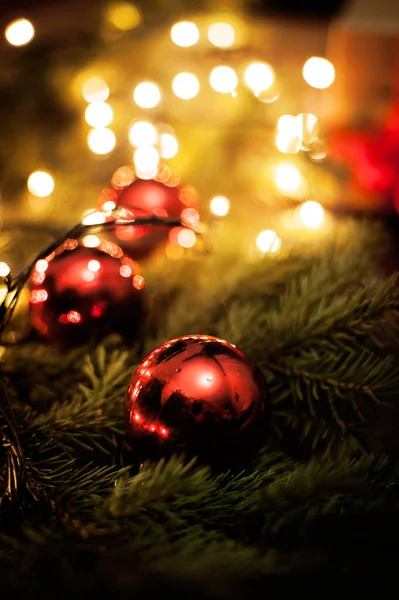 Kerst Kaart Close Met Kat Dennenboom Met Kegels Geschenken — Stockfoto