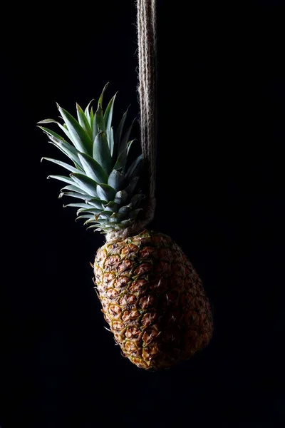 Ananas ve boynunda iple karanlık bir hayat sürüyor.