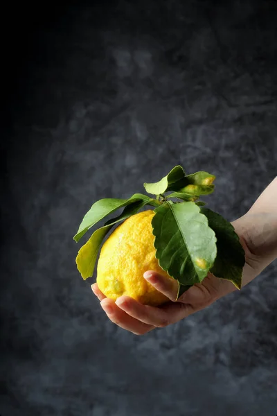 Gri arkaplanlı yapraklı biyo-limon