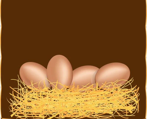 Ovos em ninho em marrom — Vetor de Stock