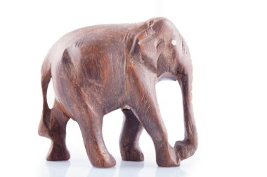 Beyaz arka planda izole edilmiş bir fil