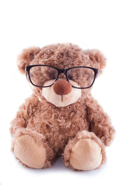 Bear Glasses Isolated White Background — Stock Photo, Image