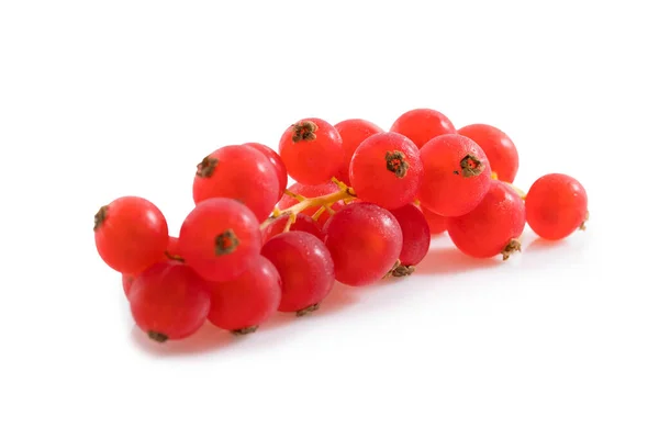 Kırmızı böğürtlen beyaz arka planda izole