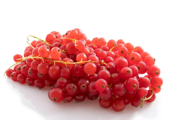 Kırmızı böğürtlen beyaz arka planda izole