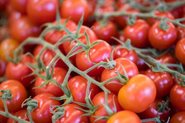 Çarşıdaki domates süpermarketi.