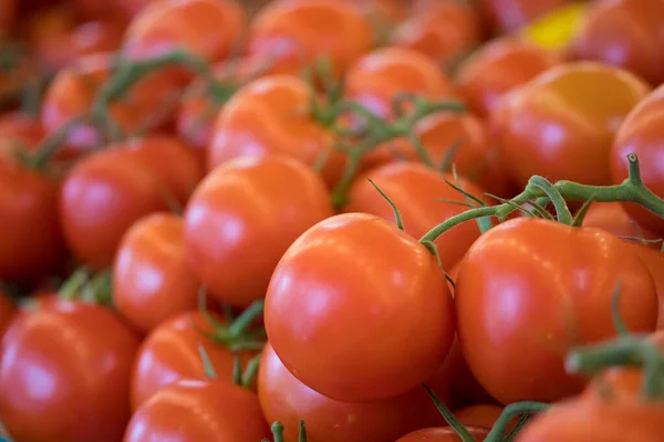 Bakkal dükkanı olgun kırmızı domatesler 