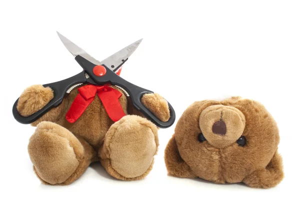 Sevimli ayı kapalı kafa