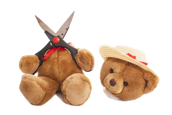 Ayı başı kesilmiş 